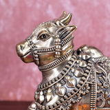 White Whale Superfine Little Brass Shiva Nandi Statue | Murti for Home Decoration | Office Décor