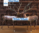 White Whale Brass Vastu/Feng Brass Deer Statue for Longevity and Energetic Environment