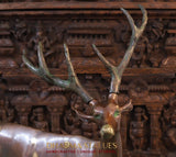 White Whale Brass Vastu/Feng Brass Deer Statue for Longevity and Energetic Environment