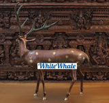 White Whale Brass Vastu/Feng Brass Deer Statue for Longevity and Energetic Environment