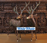 White Whale Brass Vastu/Feng Brass Deer Statue for Longevity and Energetic Environment