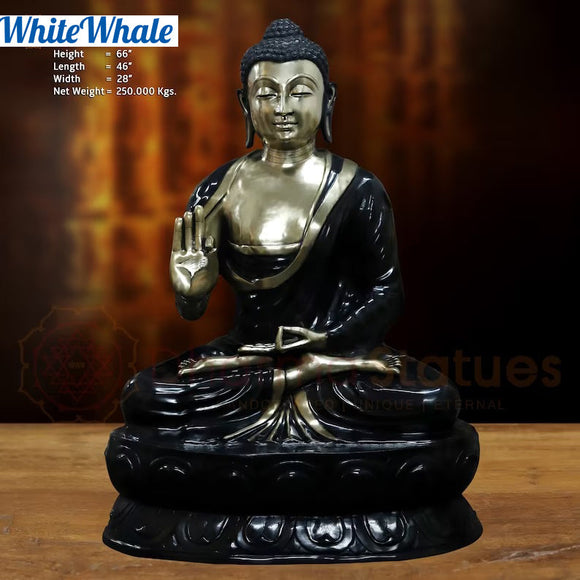 White Whale Brass Darshata Gautama (Mesmerizing Lord Buddha) in a Blessing Position - Opulent Black & Gold Finish