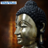 White Whale Brass Darshata Gautama (Mesmerizing Lord Buddha) in a Blessing Position - Opulent Black & Gold Finish