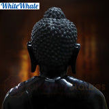 White Whale Brass Darshata Gautama (Mesmerizing Lord Buddha) in a Blessing Position - Opulent Black & Gold Finish