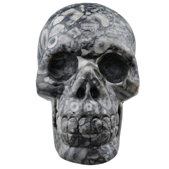 White Whale Healing Crystal Stone Black Crinoid Fossil Human Reiki Skull Figurine Statue Sculptures