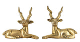 White Whale Brass Vastu/Feng Shui Pair of Sitting Brass Deer Statue for Longevity and Energetic Environment | Showpiece for Home/Office Decor and Gift