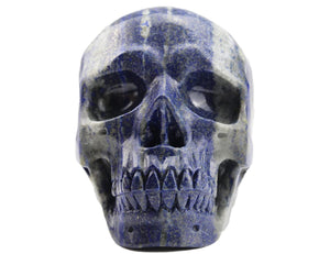 White Whale Healing Crystal Stone Lapis Lazuli Human Reiki Skull Figurine Statue Sculptures