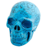 White Whale Healing Crystal Stone Blue Howlite Turquoise Human Reiki Skull Figurine Statue Sculptures