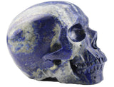 White Whale Healing Crystal Stone Lapis Lazuli Human Reiki Skull Figurine Statue Sculptures