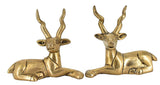 White Whale Brass Vastu/Feng Shui Pair of Sitting Brass Deer Statue for Longevity and Energetic Environment | Showpiece for Home/Office Decor and Gift