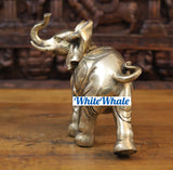 White Whale Leaf Carved Elephant in Glazing Aura Finish