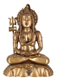White Whale Lord Shiva Brass Statue Idol Sculpture Hindu God Natraja Shiv Figurine Home Décor