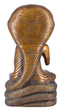 White Whale Brass Buddha Sculpture Captured in Meditation on Muchalinda the 7 Headed King of Nagas Home Décor