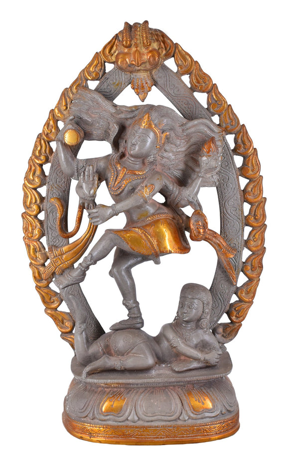 White Whale Brass Natraj Brass Statue, Nataraja - King of Dancers Hindu God Shiva for Home Temple Mandir